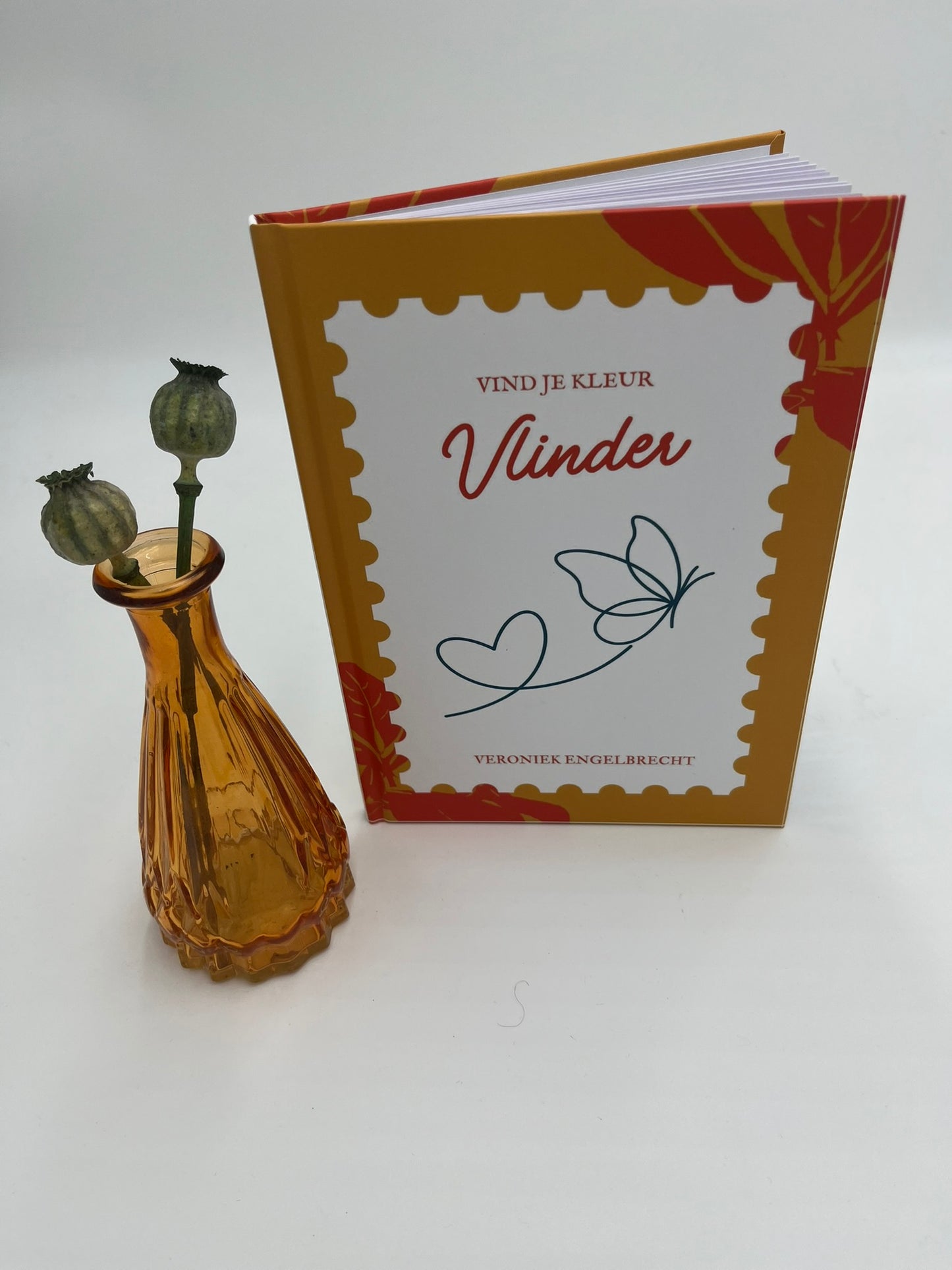 Vlinder - Vind je kleur